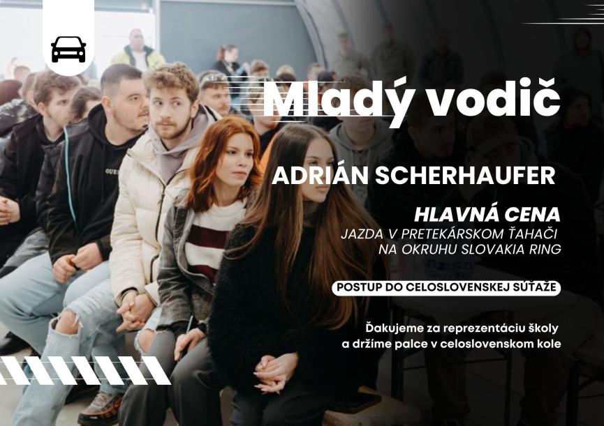 vodič